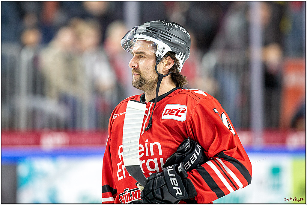 DEL; Koelner Haie - Straubing Tigers; Koeln, 17.11.2019
